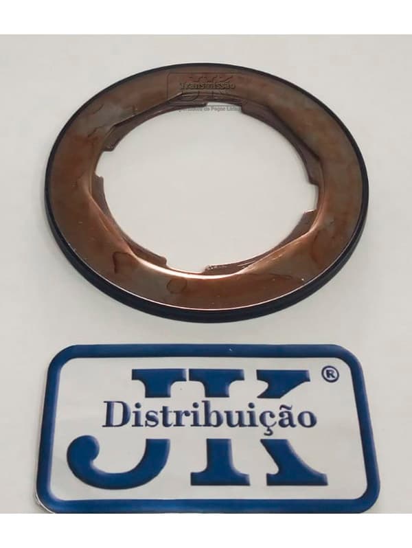 PISTÃO COM BORDA DE BORRACHA