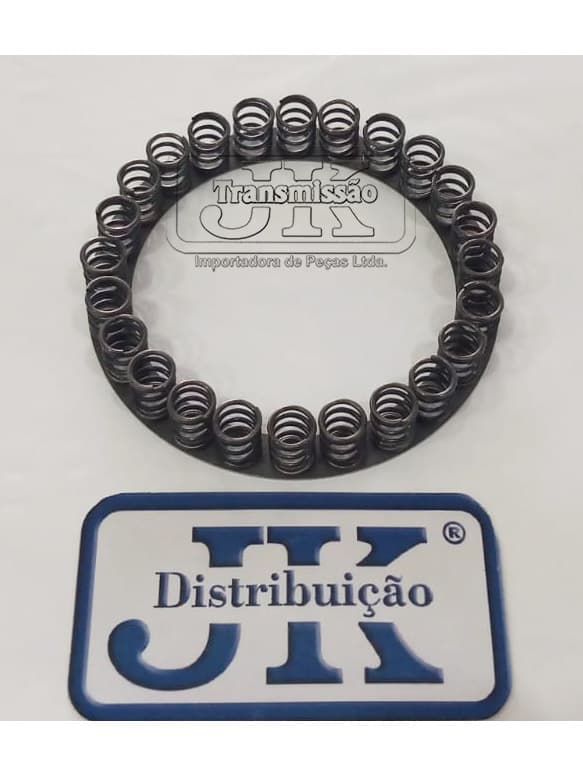 CONJ DE MOLA DO RETORNO DO PISTÃO