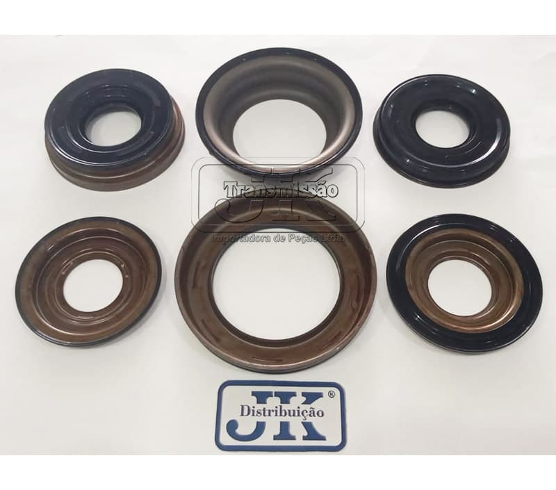 KIT DE PISTÃO CVT 6 PEÇAS TR580